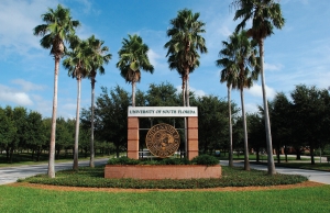 University of South Florida 4